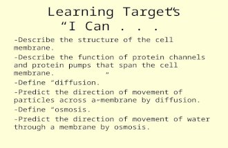 Learning Targets “I Can...” -Describe the structure of the cell membrane. -Describe the function of protein channels and protein pumps that span the cell.