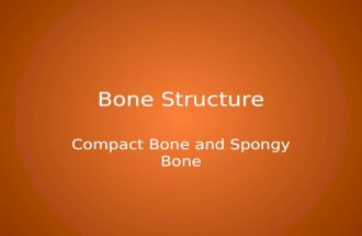 Bone Structure Compact Bone and Spongy Bone. Skeletal System Functions Support for the body. Protection for organs. Hematopoiesis - the production of.