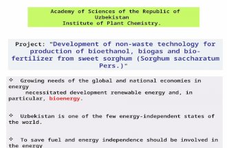 Academy of Sciences of the Republic of Uzbekistan Institute of Plant Chemistry. Project: " Development of non-waste technology for production of bioethanol,