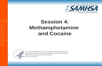 Family Education 4-1 Session 4: Methamphetamine and Cocaine.