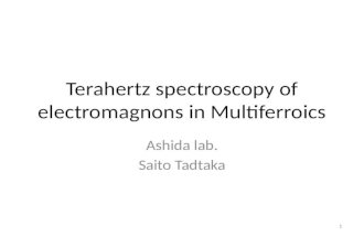 Terahertz spectroscopy of electromagnons in Multiferroics Ashida lab. Saito Tadtaka 1.
