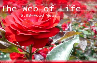 The Web of Life 5.9B—Food Webs. The Web of Life Describe how the flow of energy derived from the sun, used by producers to create their own food, is transferred.