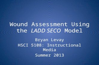 Wound Assessment Using the LADD SECO Model Bryan Levay HSCI 5108: Instructional Media Summer 2013.