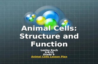 Animal Cells: Structure and Function Lesley Koch 3/4/15 Grade 9 Animal Cells Lesson Plan Animal Cells Lesson Plan.