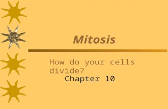 Mitosis How do your cells divide? Chapter 10 Why Do Cells Divide? Surface area Damaged cells Sex cells.