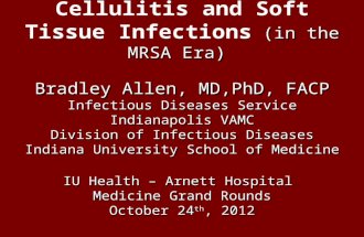 (in the MRSA Era) Bradley Allen, MD,PhD, FACP Infectious Diseases Service Indianapolis VAMC Division of Infectious Diseases Indiana University School of.