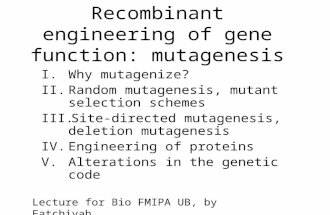 Recombinant engineering of gene function: mutagenesis I. Why mutagenize? II. Random mutagenesis, mutant selection schemes III. Site-directed mutagenesis,