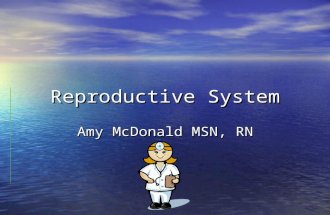 Reproductive System Amy McDonald MSN, RN. Female External Organs.