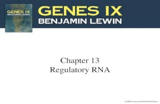 Chapter 13 Regulatory RNA. 13.1 Introduction RNA functions as a regulator by forming a region of secondary structure (either inter- or intramolecular)