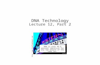 1 DNA is over 99.9 percent identical for any two people of the same sex.  DNA Technology Lecture 12, Part 2.