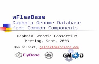 WFleaBase Daphnia Genome Database from Common Components Daphnia Genomic Consortium Meeting, Sept. 2003 Don Gilbert, gilbertd@indiana.edu.