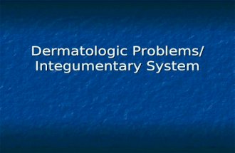 Dermatologic Problems/ Integumentary System. Physical Examination Obtain history Obtain history WHATS UP WHATS UP Inspection Inspection Palpation Palpation.