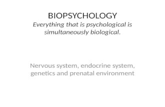BIOPSYCHOLOGY Everything that is psychological is simultaneously biological. Nervous system, endocrine system, genetics and prenatal environment.