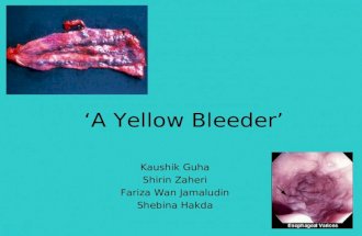 ‘A Yellow Bleeder’ Kaushik Guha Shirin Zaheri Fariza Wan Jamaludin Shebina Hakda.