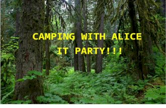 CAMPING WITH ALICE IT PARTY!!!. Bonita Adams – Springfield High School sphs_ba@nwoca.orgsphs_ba@nwoca.org – Camp Questions Jane Nawrocki – Springfield.