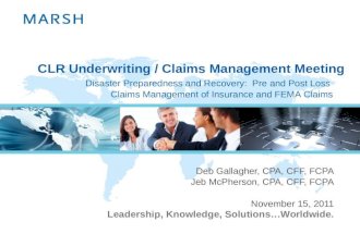 Leadership, Knowledge, Solutions…Worldwide. CLR Underwriting / Claims Management Meeting Deb Gallagher, CPA, CFF, FCPA Jeb McPherson, CPA, CFF, FCPA November.