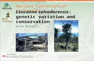 Species conservation strategies Leucaena salvadorensis: genetic variation and conservation David Boshier.