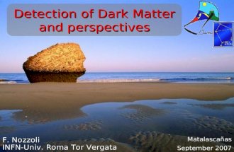 F. Nozzoli INFN-Univ. Roma Tor Vergata Detection of Dark Matter and perspectives Matalascañas September 2007.
