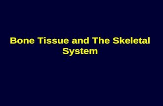 Bone Tissue and The Skeletal System. The Skeletal System Functions of the Skeletal System Support against gravity Leverage for muscle action - movement.