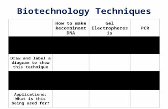 Biotechnology Techniques How to make Recombinant DNA Gel Electrophoresis PCR Summarize: What is this technique? Draw and label a diagram to show this technique.