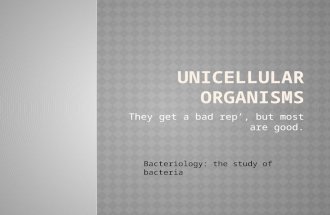 They get a bad rep’, but most are good. Bacteriology: the study of bacteria.