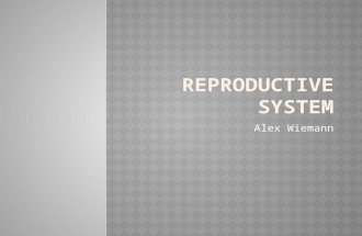 Alex Wiemann.  The function of the reproductive system is to produce offspring.