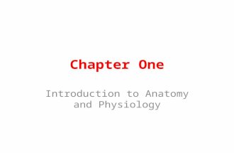Chapter One Introduction to Anatomy and Physiology.