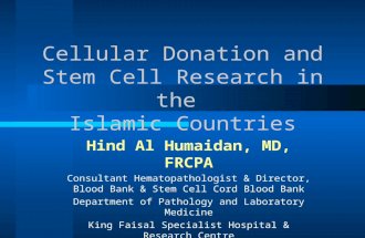 Cellular Donation and Stem Cell Research in the Islamic Countries Hind Al Humaidan, MD, FRCPA Consultant Hematopathologist & Director, Blood Bank & Stem.