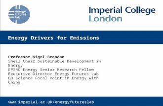 Professor Nigel Brandon Shell Chair Sustainable Development in Energy EPSRC Energy Senior Research Fellow Executive Director Energy Futures Lab GO science.