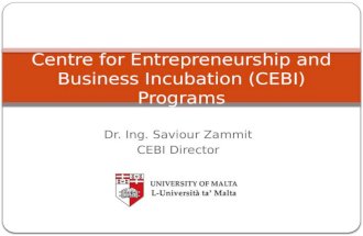 Centre for Entrepreneurship and Business Incubation (CEBI) Programs Dr. Ing. Saviour Zammit CEBI Director.