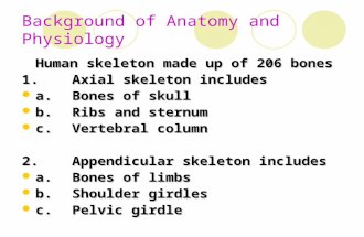Background of Anatomy and Physiology Human skeleton made up of 206 bones 1.Axial skeleton includes a.Bones of skull a.Bones of skull b.Ribs and sternum.