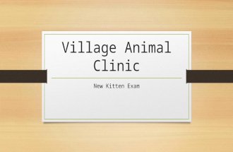 Village Animal Clinic New Kitten Exam. Congratulations!! We would like to congratulate you on the acquisition of your new best friend!!! Owning a kitten.
