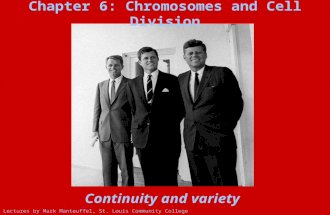 Continuity and variety Lectures by Mark Manteuffel, St. Louis Community College Chapter 6: Chromosomes and Cell Division.