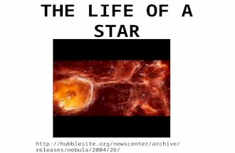 THE LIFE OF A STAR