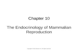 Chapter 1 Chapter 10 The Endocrinology of Mammalian Reproduction Copyright © 2013 Elsevier Inc. All rights reserved.