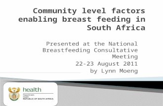 Presented at the National Breastfeeding Consultative Meeting 22-23 August 2011 by Lynn Moeng.