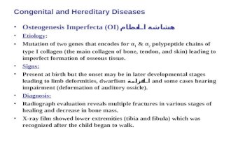 Congenital and Hereditary Diseases Osteogenesis Imperfecta (OI) هشاشة العظام Etiology: Mutation of two genes that encodes for α 1 & α 2 polypeptide chains.