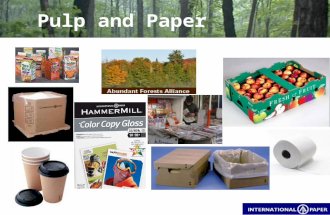 Pulp and Paper. Pulp and Paper Industry Presentation Team Gold Standard Presenters: Vernon Scott: –Introduction –Industry Analysis –Demand Factors Tim.