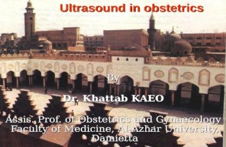 Ultrasound in obstetrics By Dr. Khattab KAEO Assis. Prof. of Obstetrics and Gynaecology Faculty of Medicine, Al-Azhar University, Damietta.