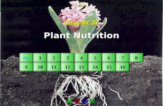 Chapter 37 Plant Nutrition Fig. 1111 2222 3333 4444 5555 6666 7777 8888 9999 10 11 12 13 14 15 16.