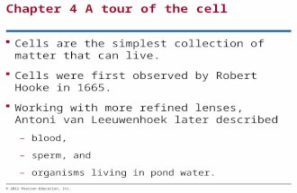 Chapter 4 A tour of the cell  Cells are the simplest collection of matter that can live.  Cells were first observed by Robert Hooke in 1665.  Working.