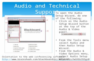 Audio and Technical Support To open the Audio Setup Wizard, do one of the following: Click on the Audio Setup Wizard button at the top of the Audio & Video.