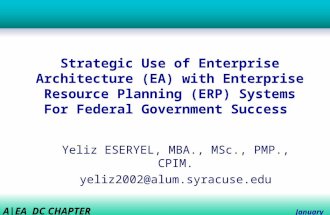 A|EA DC CHAPTER January 9, 2007 Strategic Use of Enterprise Architecture (EA) with Enterprise Resource Planning (ERP) Systems For Federal Government Success.