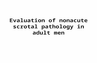 Evaluation of nonacute scrotal pathology in adult men.