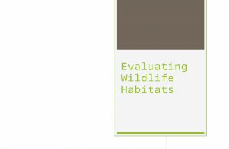 Evaluating Wildlife Habitats. How are habitats classified?  Tropical areas surround the equator and are characterized by warm temperatures year round.