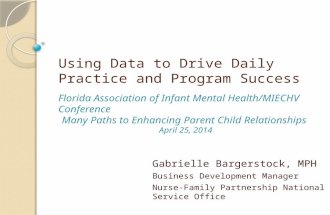 Using Data to Drive Daily Practice and Program Success Gabrielle Bargerstock, MPH Business Development Manager Nurse-Family Partnership National Service.