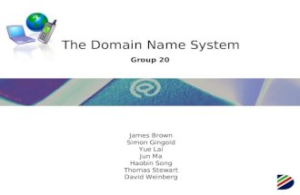 The Domain Name System James Brown Simon Gingold Yue Lai Jun Ma Haobin Song Thomas Stewart David Weinberg Group 20.