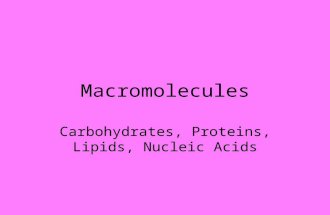 Macromolecules Carbohydrates, Proteins, Lipids, Nucleic Acids.