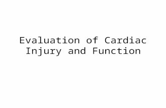 Evaluation of Cardiac Injury and Function. Introduction CHD, – The most important disease affecting the heart is coronary heart disease ACS, – CHD, can.