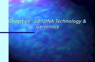 Chapter 20~DNA Technology & Genomics. Who am I? Recombinant DNA n Def: DNA in which genes from 2 different sources are linked n Genetic engineering:
